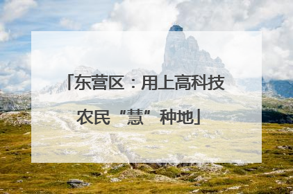 东营区：用上高科技 农民“慧”种地