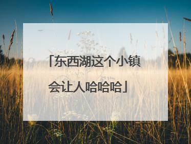 东西湖这个小镇会让人哈哈哈