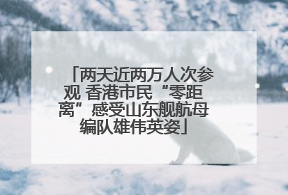 两天近两万人次参观 香港市民“零距离”感受山东舰航母编队雄伟英姿