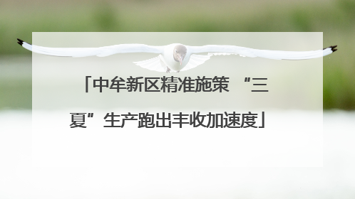 中牟新区精准施策 “三夏”生产跑出丰收加速度