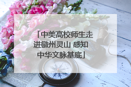 中美高校师生走进徽州灵山 感知中华文脉基底