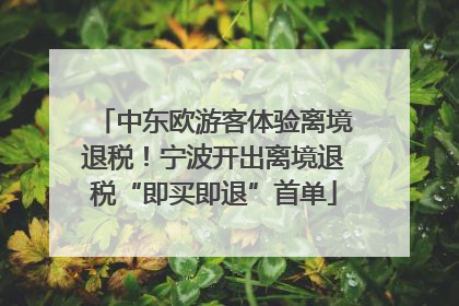 中东欧游客体验离境退税！宁波开出离境退税“即买即退”首单