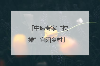 中医专家“摆摊”宜阳乡村
