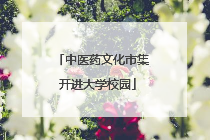 中医药文化市集开进大学校园