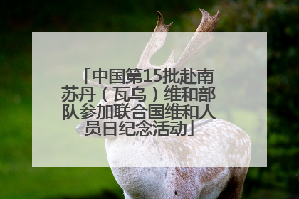 中国第15批赴南苏丹（瓦乌）维和部队参加联合国维和人员日纪念活动