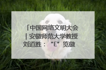 中国网络文明大会｜安徽师范大学教授刘道胜：“E”览徽风，构筑中华民族共有精神家园