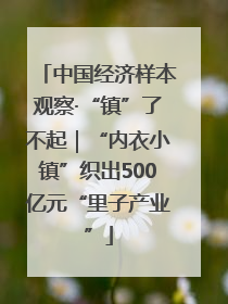 中国经济样本观察·“镇”了不起｜“内衣小镇”织出500亿元“里子产业”