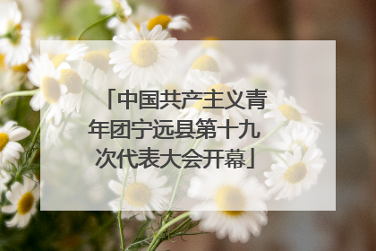 中国共产主义青年团宁远县第十九次代表大会开幕