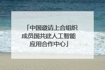 中国邀请上合组织成员国共建人工智能应用合作中心