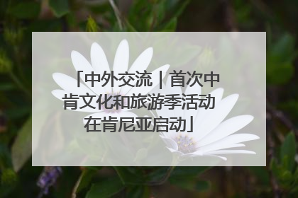 中外交流｜首次中肯文化和旅游季活动在肯尼亚启动