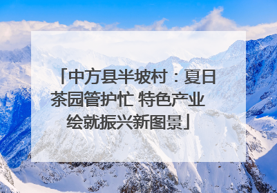 中方县半坡村：夏日茶园管护忙 特色产业绘就振兴新图景