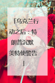 乌克兰行动之后：特朗普沉默 美特使警告