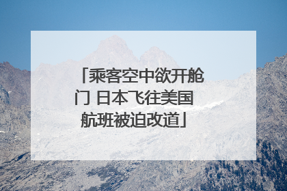 乘客空中欲开舱门 日本飞往美国航班被迫改道