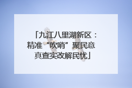 九江八里湖新区：精准“吹哨”聚民意 真查实改解民忧