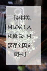 乡村美、村民富！人和镇清河村获评全国文明村