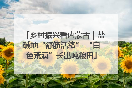 乡村振兴看内蒙古｜盐碱地“舒筋活络” “白色荒漠”长出吨粮田