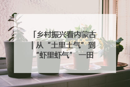 乡村振兴看内蒙古｜从“土里土气”到“虾里虾气” 一田双收模式火出圈