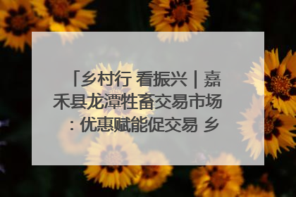 乡村行 看振兴｜嘉禾县龙潭牲畜交易市场：优惠赋能促交易 乡村振兴添动能