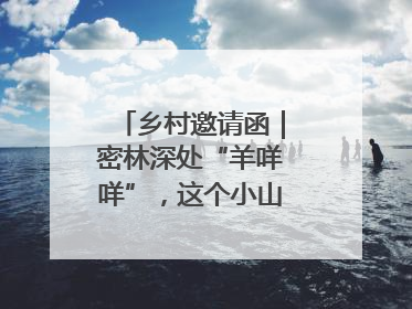 乡村邀请函｜密林深处“羊咩咩”，这个小山村如何逆袭？