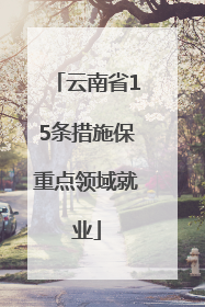 云南省15条措施保重点领域就业