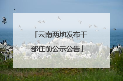 云南两地发布干部任前公示公告