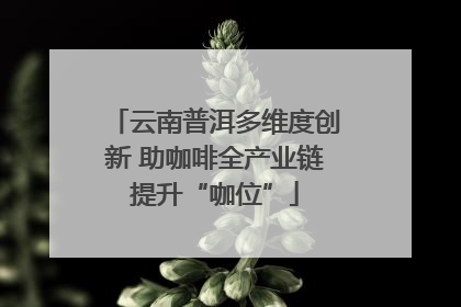 云南普洱多维度创新 助咖啡全产业链提升“咖位”