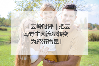 云岭时评｜把云南野生菌流量转变为经济增量