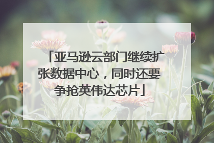 亚马逊云部门继续扩张数据中心，同时还要争抢英伟达芯片