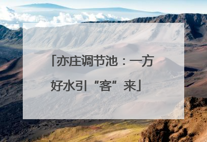 亦庄调节池：一方好水引“客”来