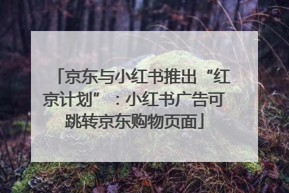 京东与小红书推出“红京计划”：小红书广告可跳转京东购物页面