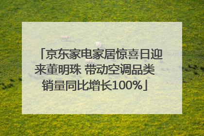 京东家电家居惊喜日迎来董明珠 带动空调品类销量同比增长100%