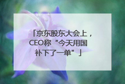 京东股东大会上，CEO称“今天用国补下了一单”