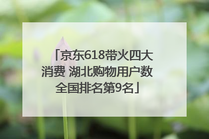 京东618带火四大消费 湖北购物用户数全国排名第9名