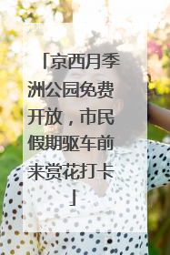 京西月季洲公园免费开放，市民假期驱车前来赏花打卡