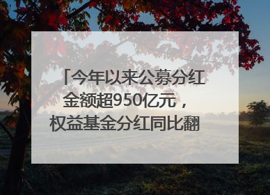 今年以来公募分红金额超950亿元，权益基金分红同比翻倍｜招财猫