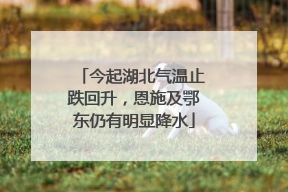 今起湖北气温止跌回升，恩施及鄂东仍有明显降水
