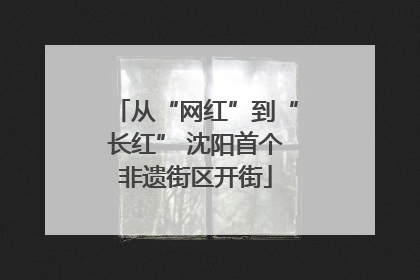 从“网红”到“长红” 沈阳首个非遗街区开街