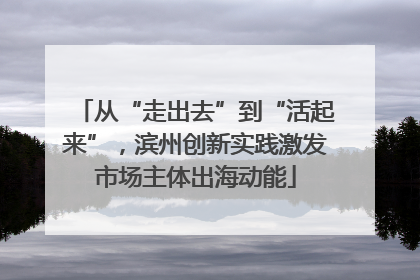 从“走出去”到“活起来”，滨州创新实践激发市场主体出海动能