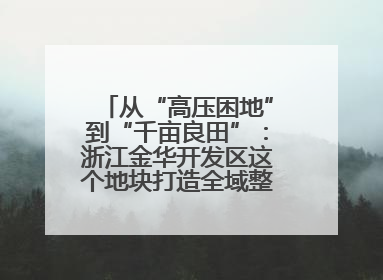 从“高压困地”到“千亩良田”：浙江金华开发区这个地块打造全域整治示范样本