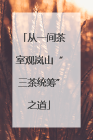 从一间茶室观岚山“三茶统筹”之道
