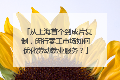 从上海首个到成片复制，闵行零工市场如何优化劳动就业服务？
