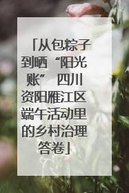 从包粽子到晒“阳光账” 四川资阳雁江区端午活动里的乡村治理答卷