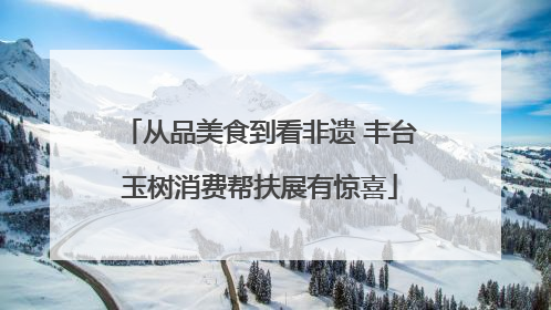 从品美食到看非遗 丰台玉树消费帮扶展有惊喜