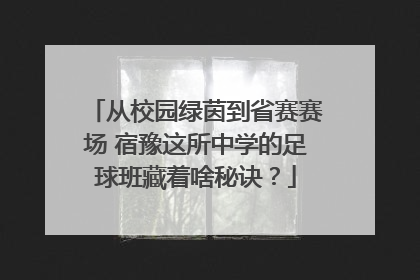 从校园绿茵到省赛赛场 宿豫这所中学的足球班藏着啥秘诀？