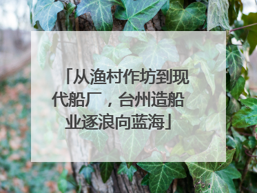 从渔村作坊到现代船厂，台州造船业逐浪向蓝海
