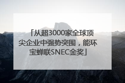 从超3000家全球顶尖企业中强势突围，能环宝蝉联SNEC金奖