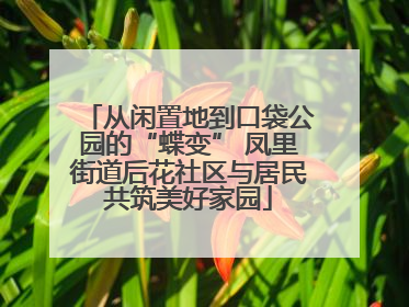 从闲置地到口袋公园的“蝶变” 凤里街道后花社区与居民共筑美好家园