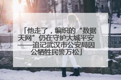 他走了，编织的“数据天网”仍在守护大城平安——追记武汉市公安局因公牺牲民警万松