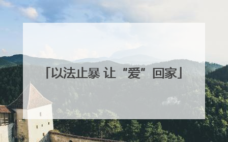 以法止暴 让“爱”回家