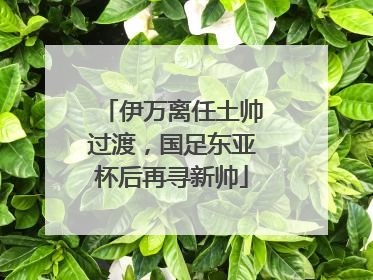 伊万离任土帅过渡，国足东亚杯后再寻新帅
